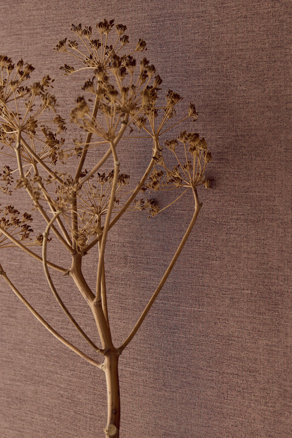 Wallpaper, brown, fabric imitation, 350592, Riviera Maison, Eijffinger