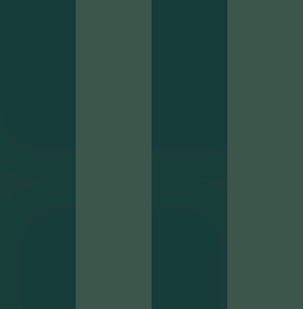 Wallpaper, green, stripes, 131444, Concerto, Graham Brown Premium