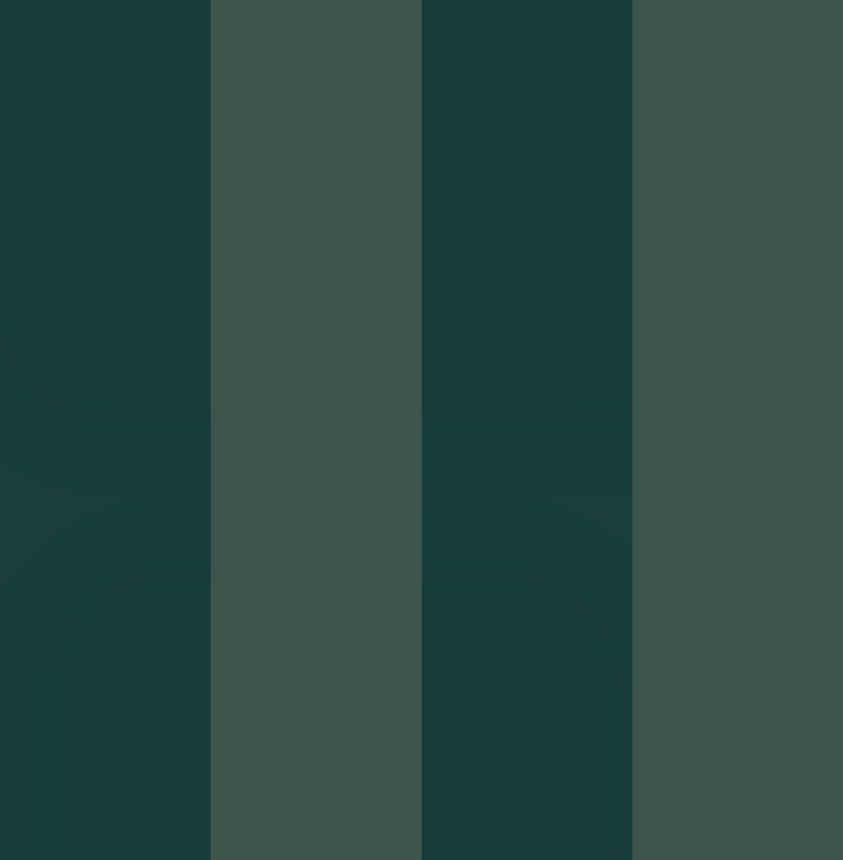 Wallpaper, green, stripes, 131444, Concerto, Graham Brown Premium