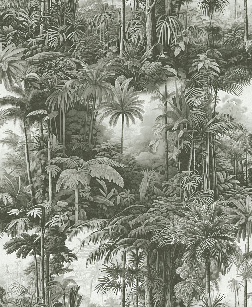 Wallpaper, grey-black, palms, jungle, 127916, Arboretum, Graham Brown Premium