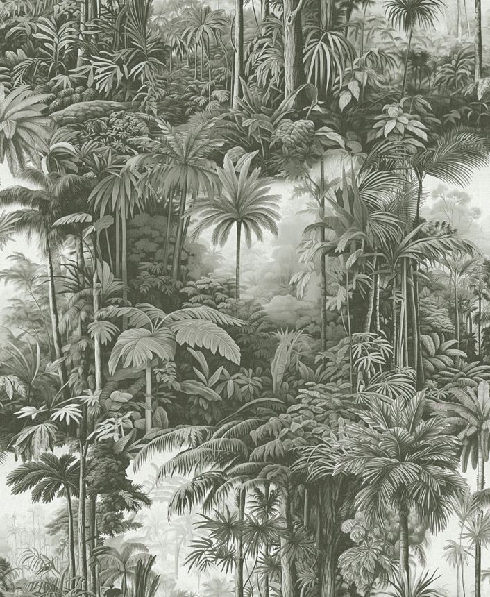 Wallpaper, grey-black, palms, jungle, 127916, Arboretum, Graham Brown Premium