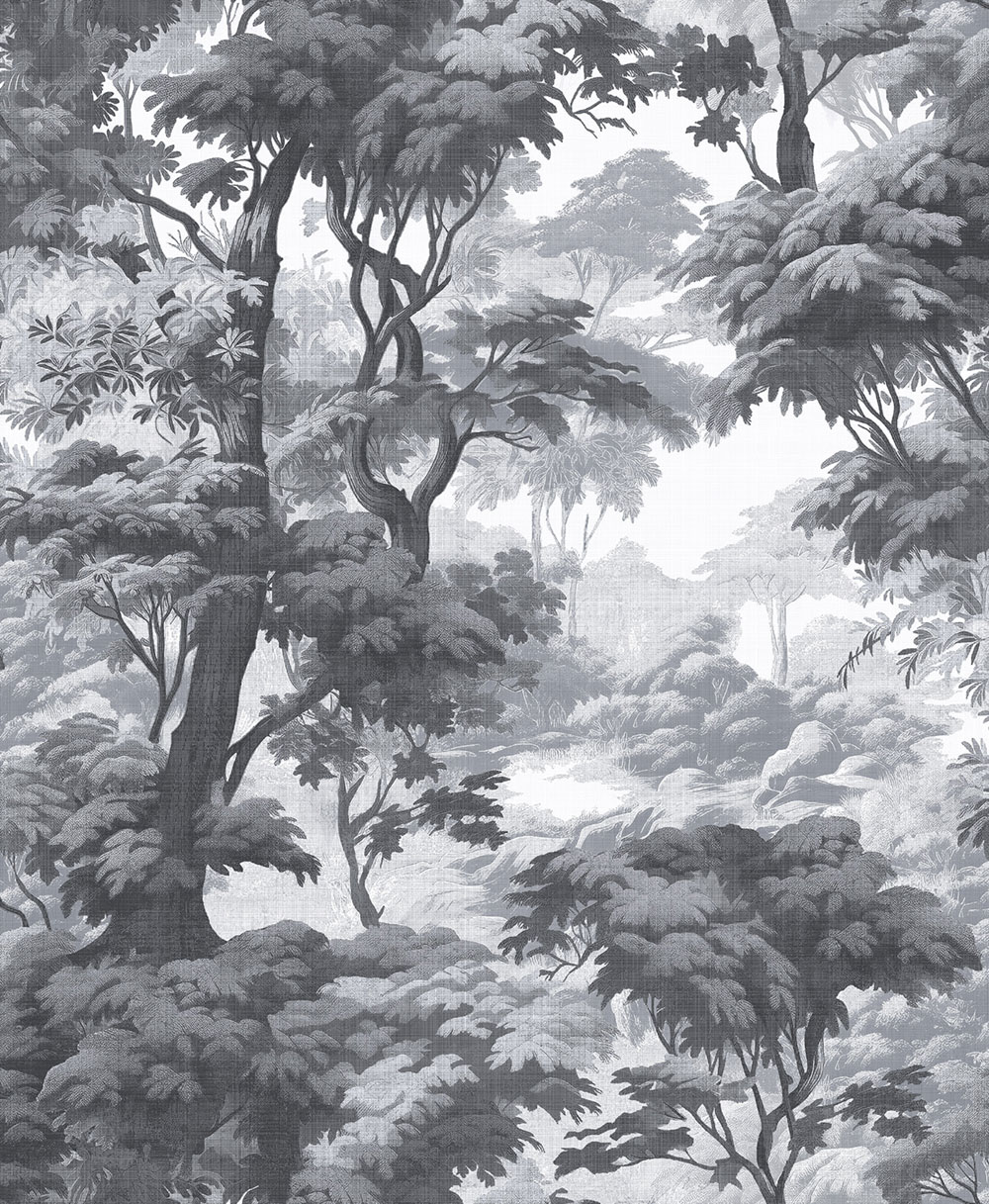 Wallpaper, grey-black, forest, trees, 127930, Arboretum, Graham Brown Premium