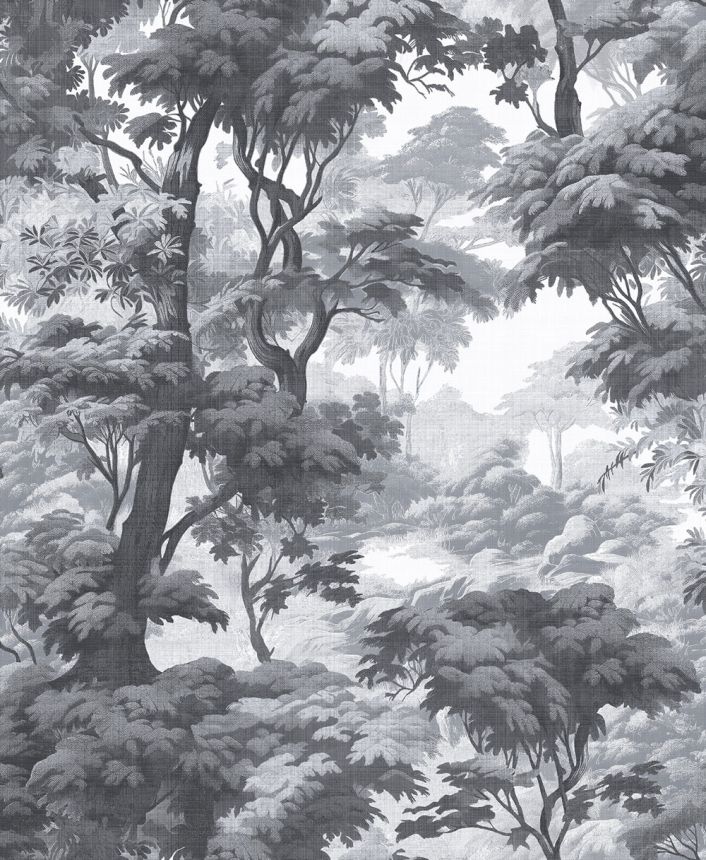 Wallpaper, grey-black, forest, trees, 127930, Arboretum, Graham Brown Premium