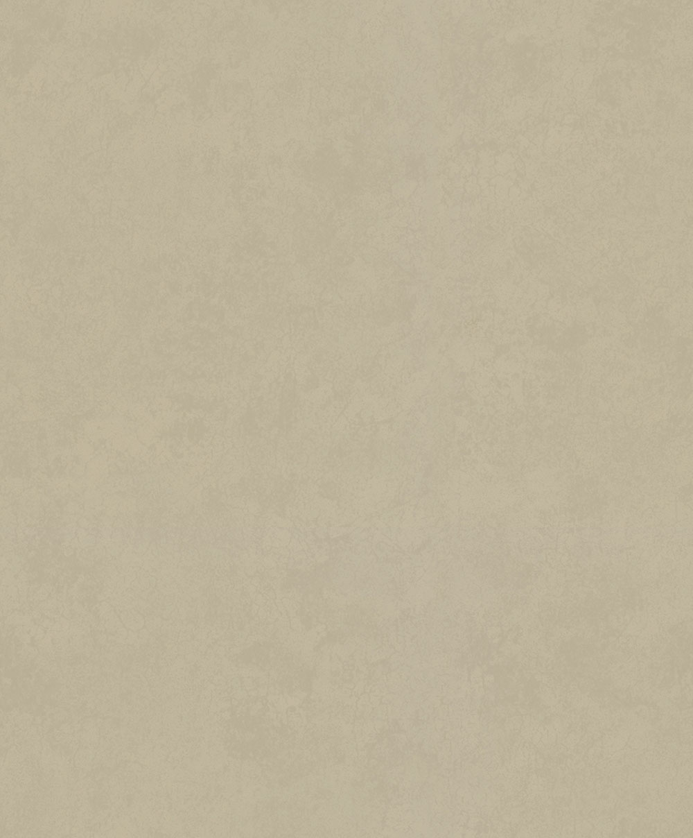 Wallpaper, Brown-Beige, Stucco, Concrete, 34629, Terra, Marburg