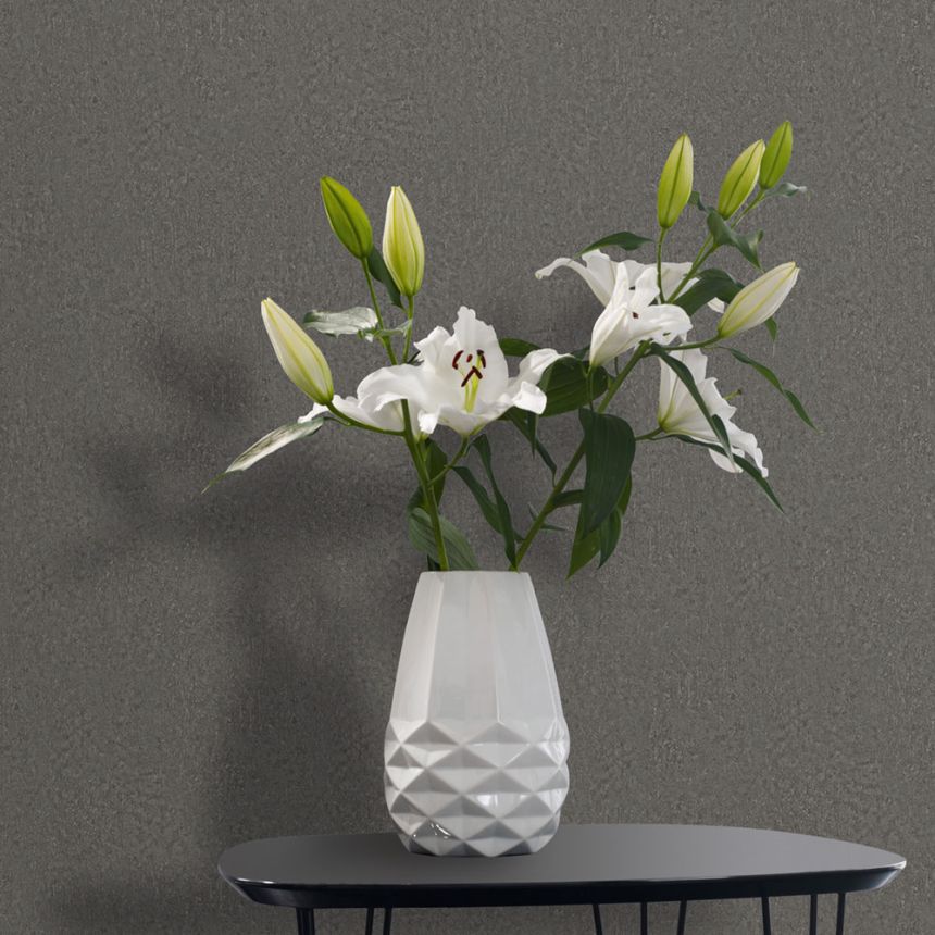 Wallpaper, grey, texture, 35541, Ritus, Marburg