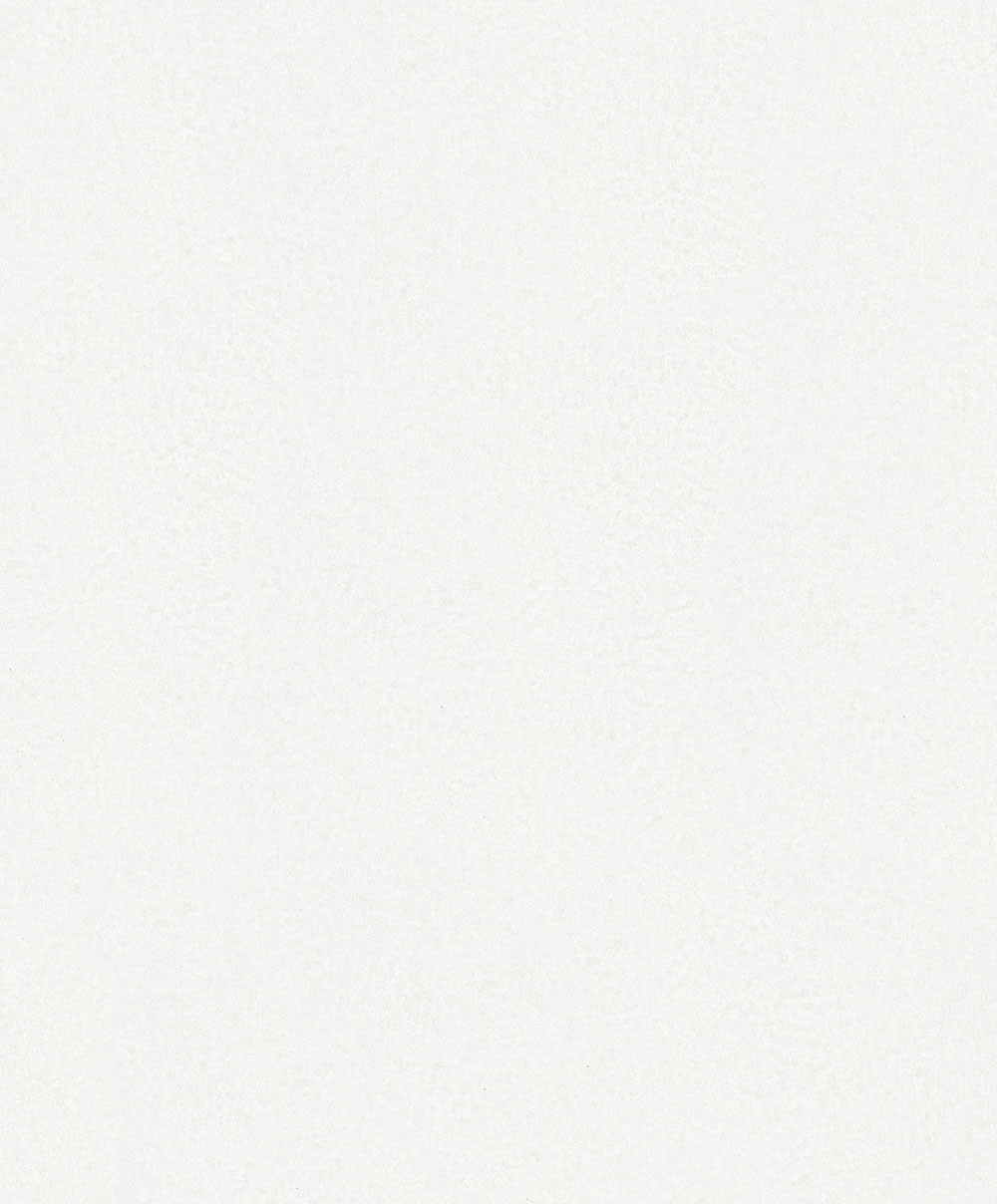 Wallpaper, white, texture, 35546, Ritus, Marburg