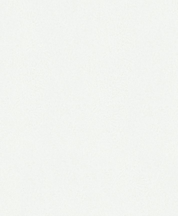 Wallpaper, white, texture, 35546, Ritus, Marburg