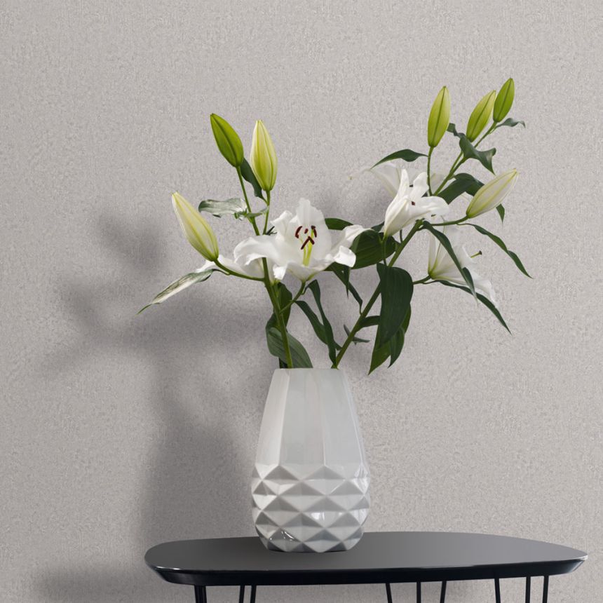 Wallpaper, grey, texture, 35548, Ritus, Marburg