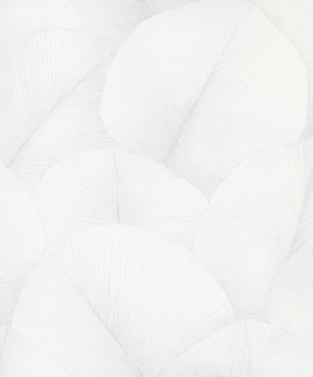 Wallpaper, white, leaves, 34507, Kumano, Marburg