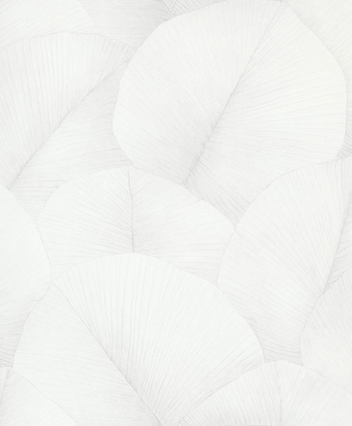 Wallpaper, white, leaves, 34507, Kumano, Marburg