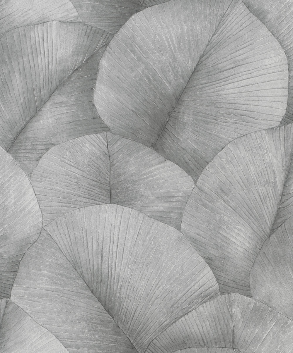 Wallpaper, grey-black, leaves, 34508, Kumano, Marburg