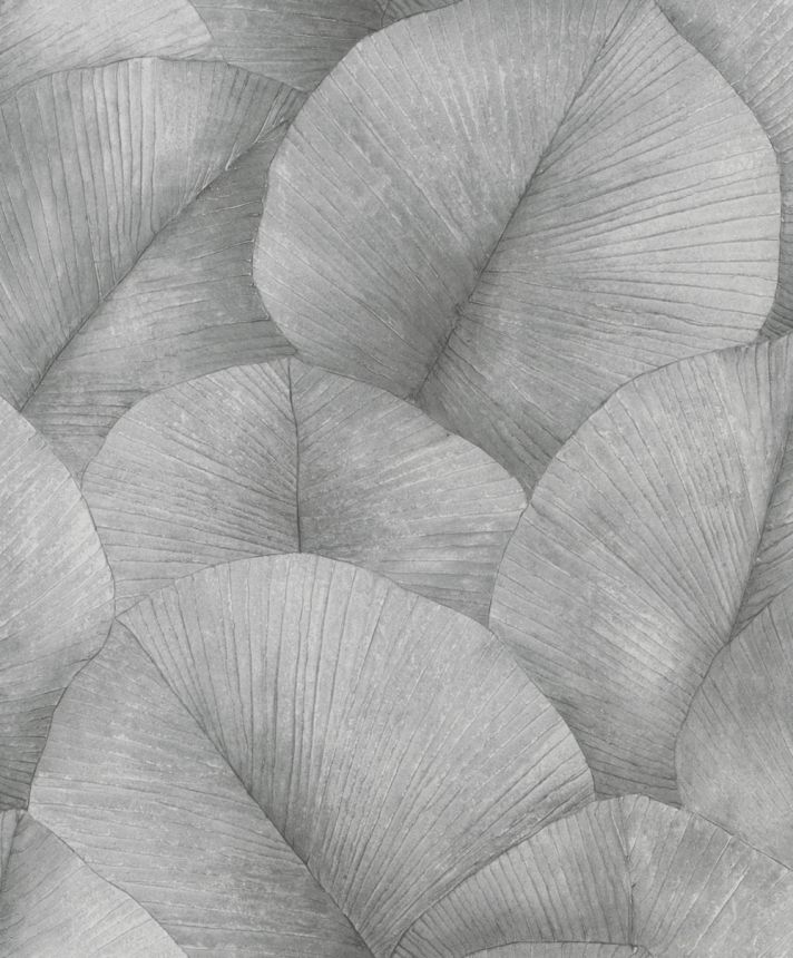 Wallpaper, grey-black, leaves, 34508, Kumano, Marburg