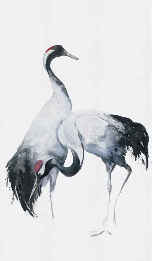 Wall mural, birds, herons, 34596, Kumano, Marburg
