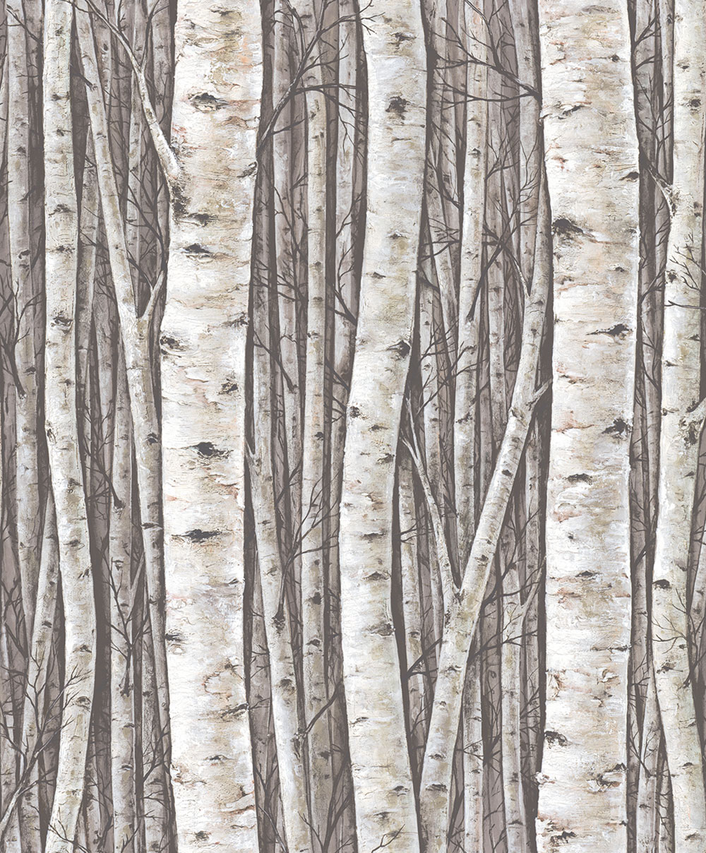 Wallpaper, grey-brown, trees, birch grove, 35394, Timber, Marburg