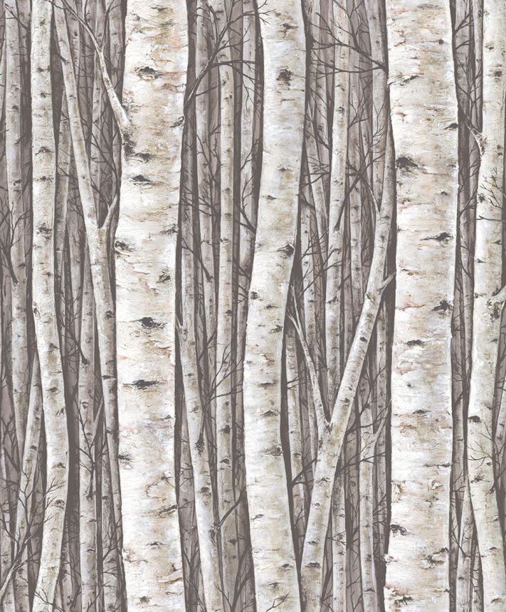 Wallpaper, grey-brown, trees, birch grove, 35394, Timber, Marburg