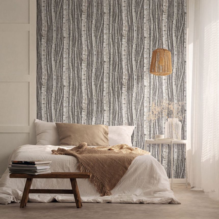 Wallpaper, grey-brown, trees, birch grove, 35394, Timber, Marburg