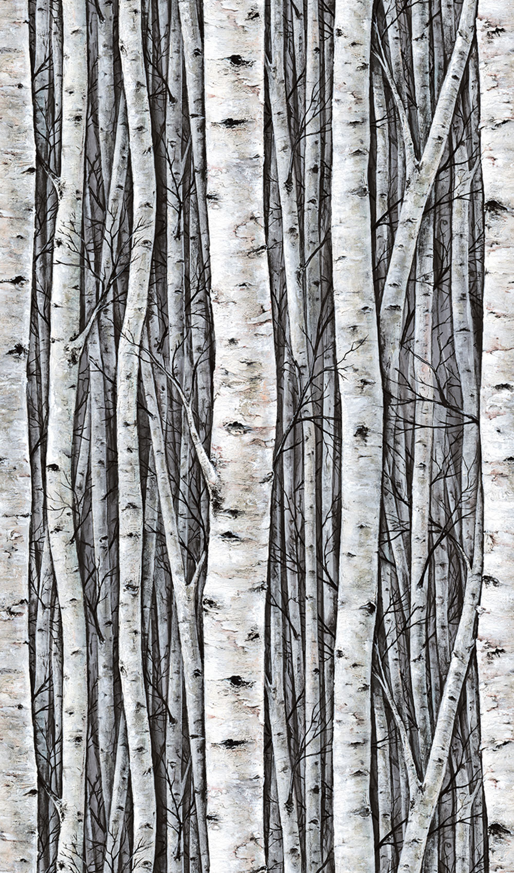 Mural wallpaper, grey-blue, trees, birch grove, 35395, Timber, Marburg