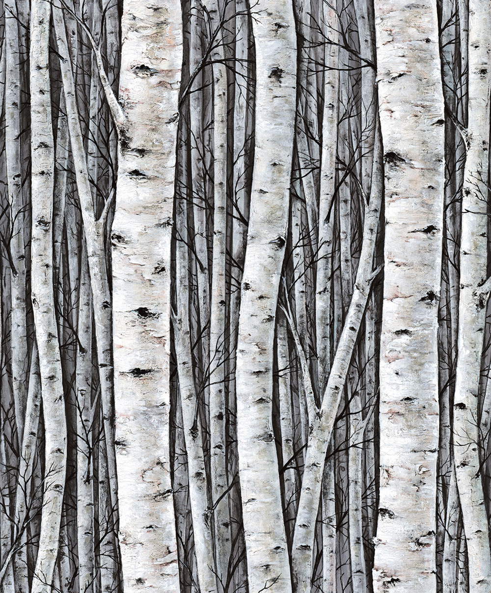 Wallpaper, grey-blue, trees, birch grove, 35397, Timber, Marburg