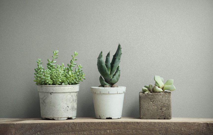 Wallpaper, Grey, 82515, Naomi, Novamur