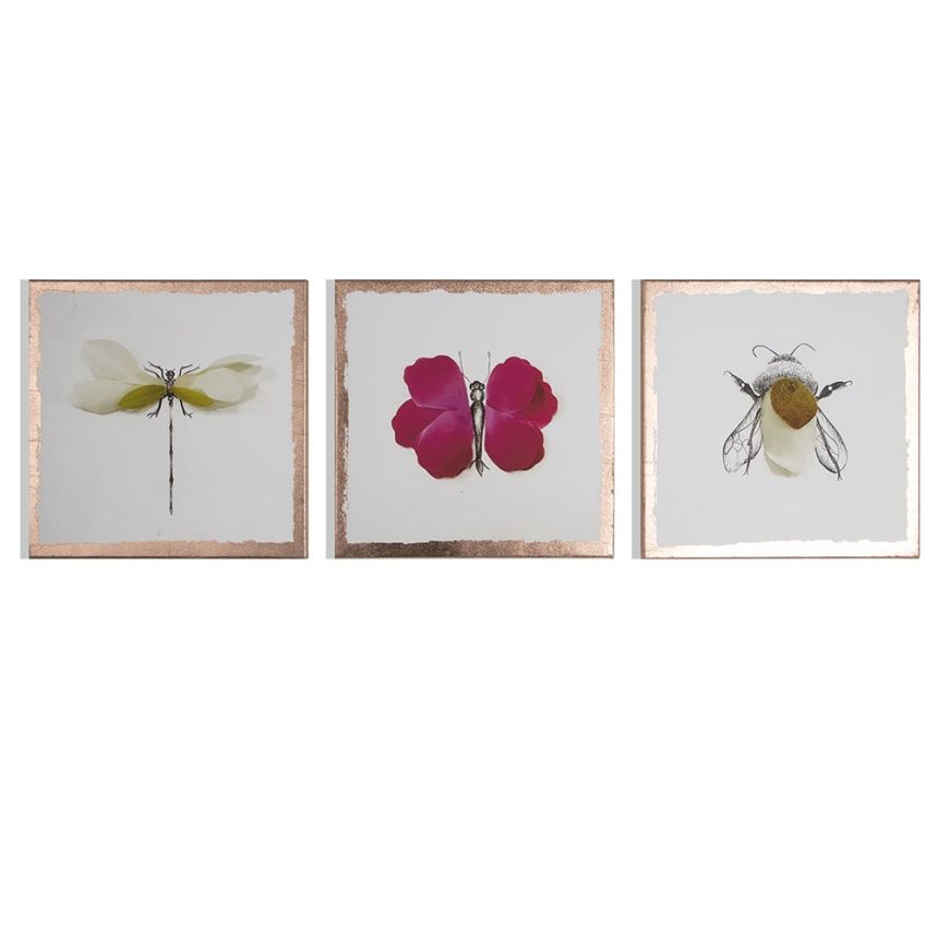 Set of pictures Beautiful Bugs 104580, Wall Art, Graham Brown