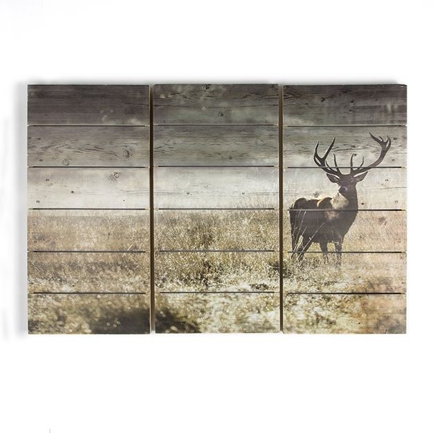 3-piece printed wood 102501, Highland Stag, Wall Art, Graham Brown