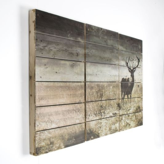 3-piece printed wood 102501, Highland Stag, Wall Art, Graham Brown