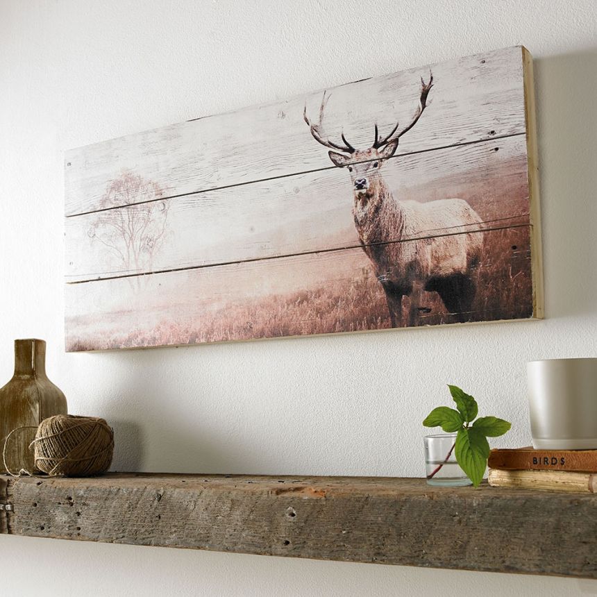 Wood print 42-244, Stag Print On Wood, Wall Art, Graham Brown