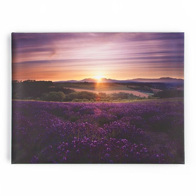 Painting of Lavender 40-886, Lavender Sunset, Wall Art, Graham Brown