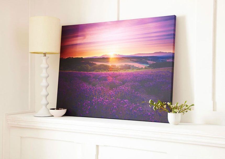 Painting of Lavender 40-886, Lavender Sunset, Wall Art, Graham Brown