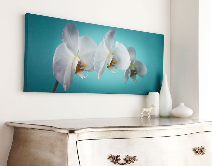 Painting Orchids 40-615, Teal orchid, Wall Art, Graham Brown