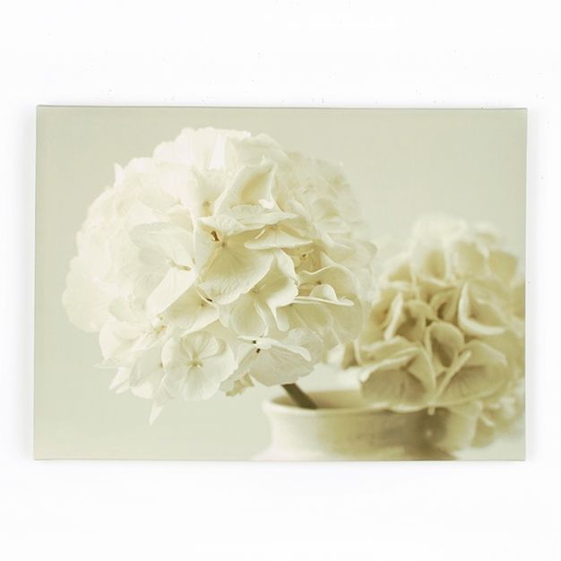 Painting White Flowers 40-618, Tranquality, Wall Art, Graham Brown