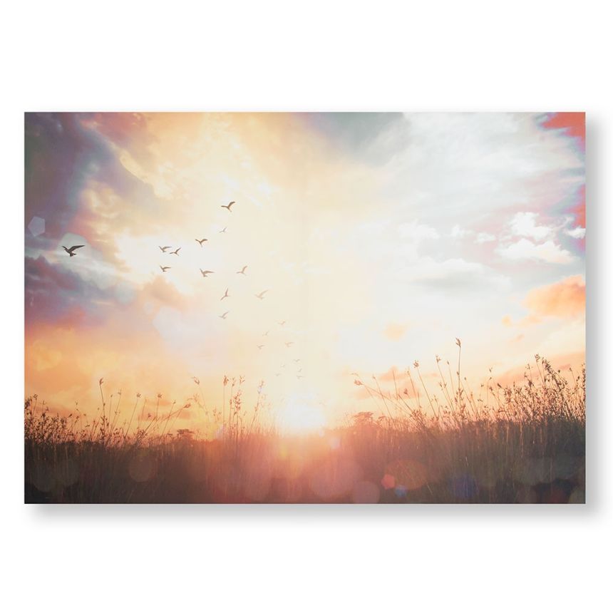 Printed canvas Sunset 105890, Serene Sunset Meadow, Wall Art, Graham & Brown