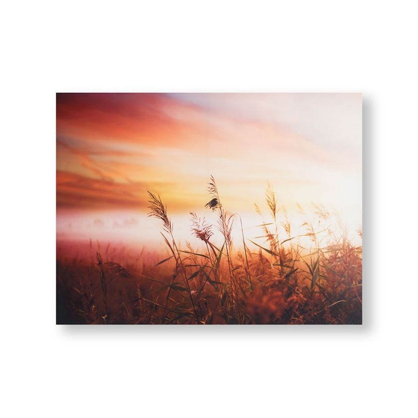 Printed canvas Morning Sun 105888, Morning Sunrise Meadow, Wall Art, Graham & Brown