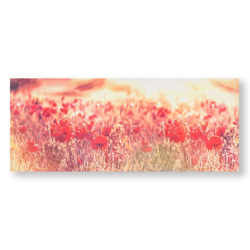 Printed canvas Poppies 105886, Peaceful Poppy Fields, Wall Art, Graham & Brown
