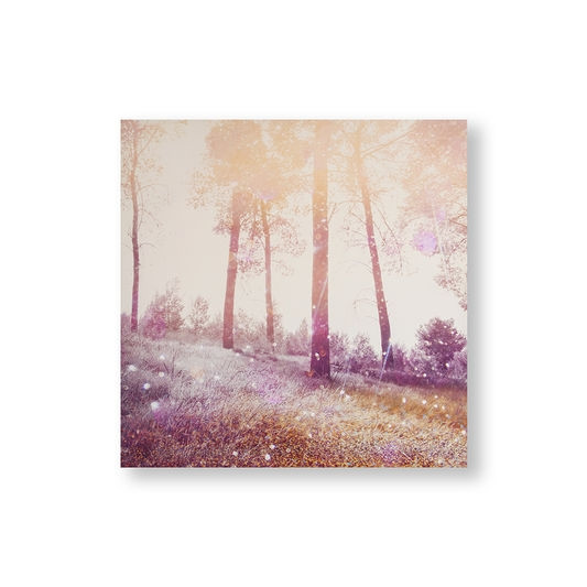 Printed canvas 105881, Meadow Daydream, Wall Art, Graham & Brown