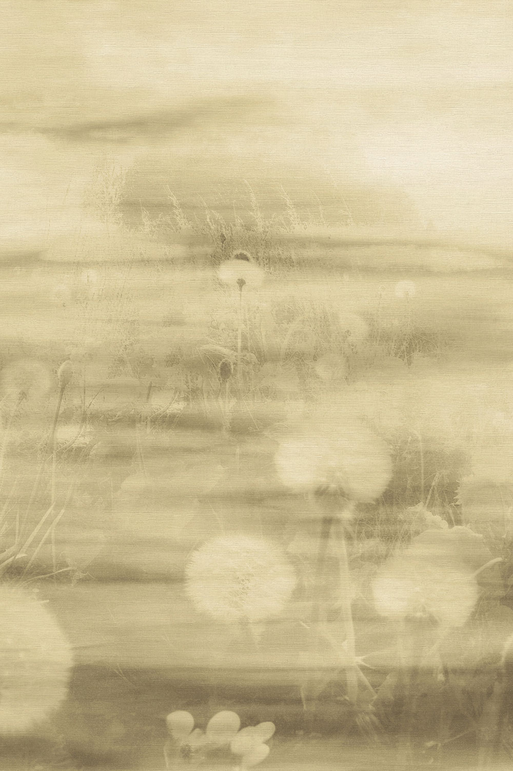 Mural wallpaper, landscape, 73899, Tendenze, Emiliana Parati