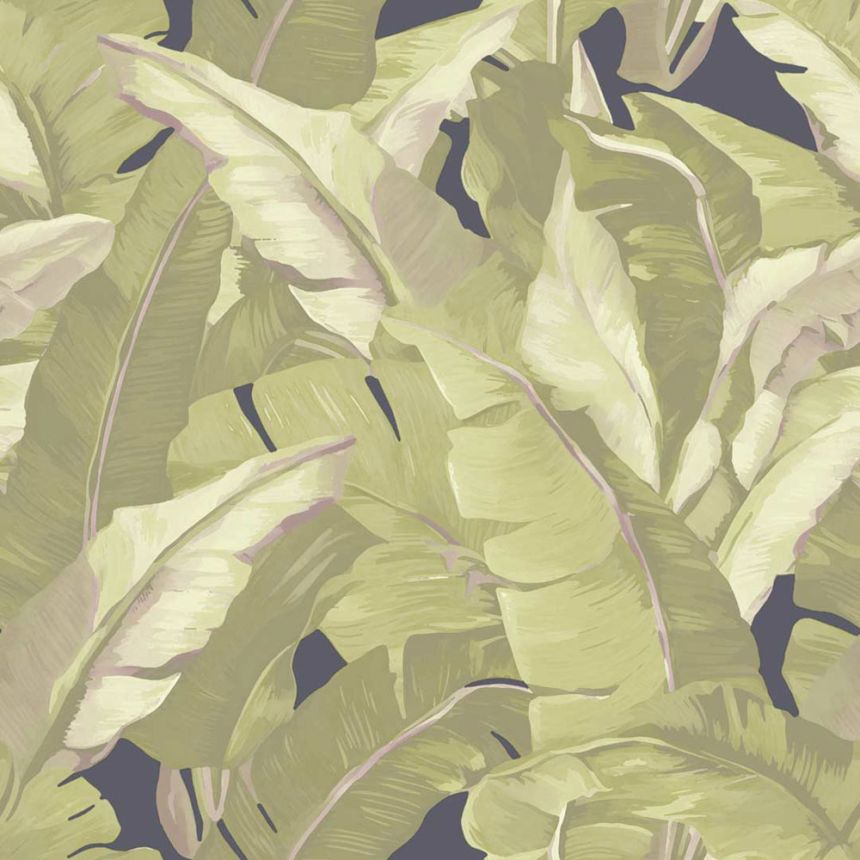 Wallpaper, green, leaves, 2006, Rio, Parato by Cristiana Masi