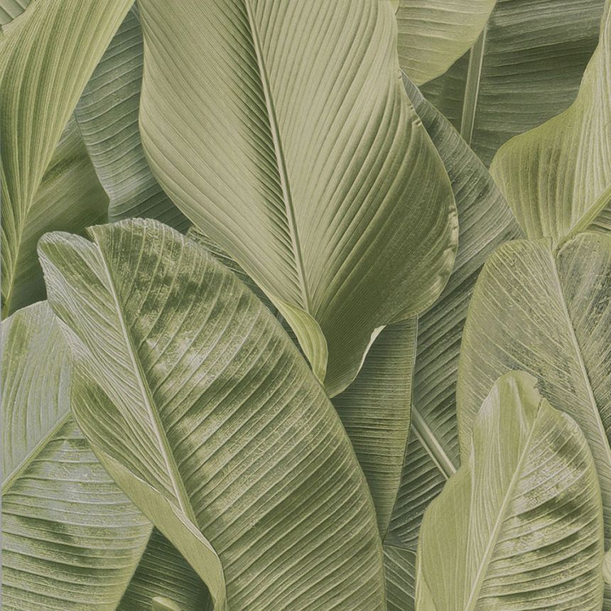 Luxury non-woven wallpaper 17803, Leaf, Lymphae, Limonta