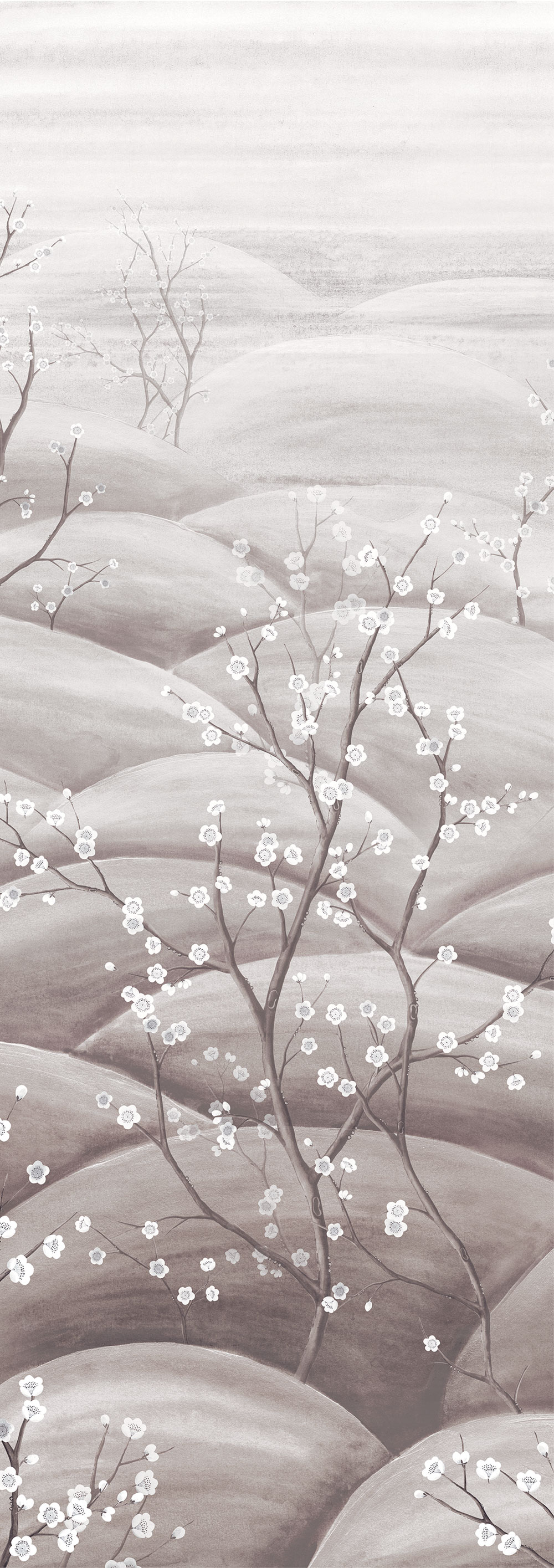 Mural wallpaper, grey, white, flowering cherry blossom branches, DGTRA5033-300, Traces, Masureel