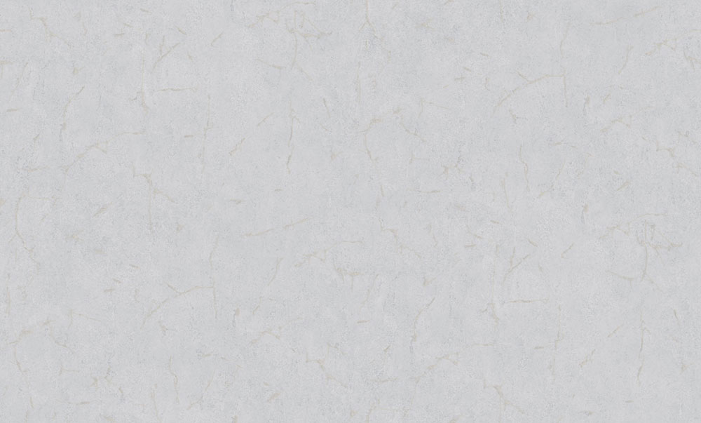 Wallpaper, silver, grey, plaster effect, 6618, Metamorphosis, Pigmenta, Parato by Cristiana Masi