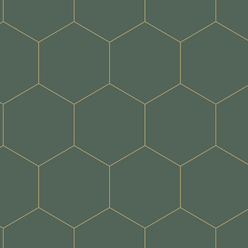 Dark green non-woven wallpaper, hexagons pattern 139228, Art Deco, Esta