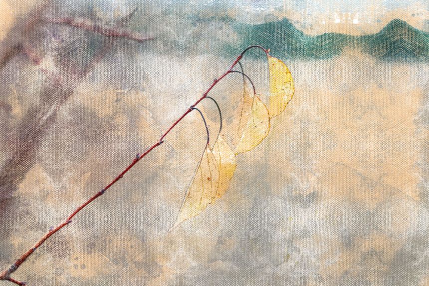 Custom Wall Mural, Branch, 10174, Vavex