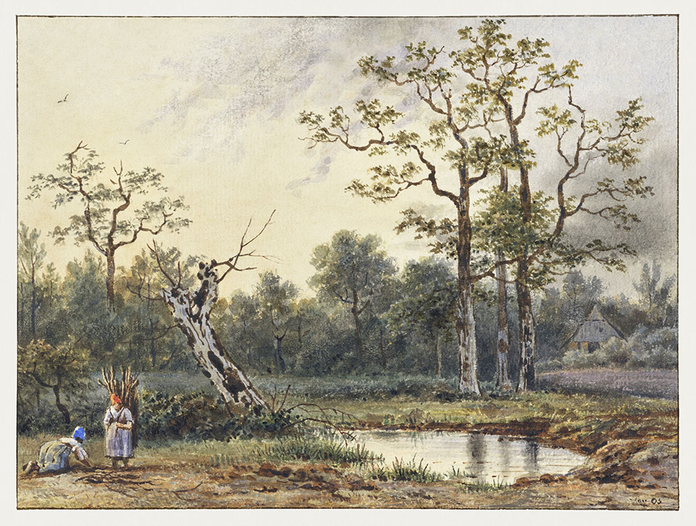 Custom Wall Murals, Cottage in the Forest, 10208, Vavex