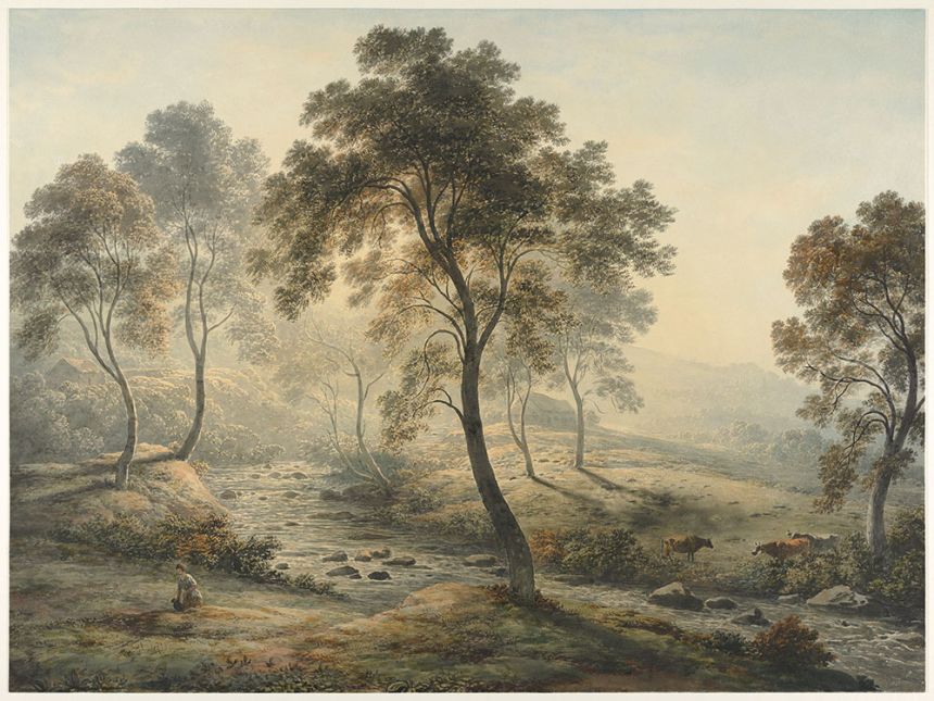 Custom Wall Murals, Trees by the River, 10212, Vavex