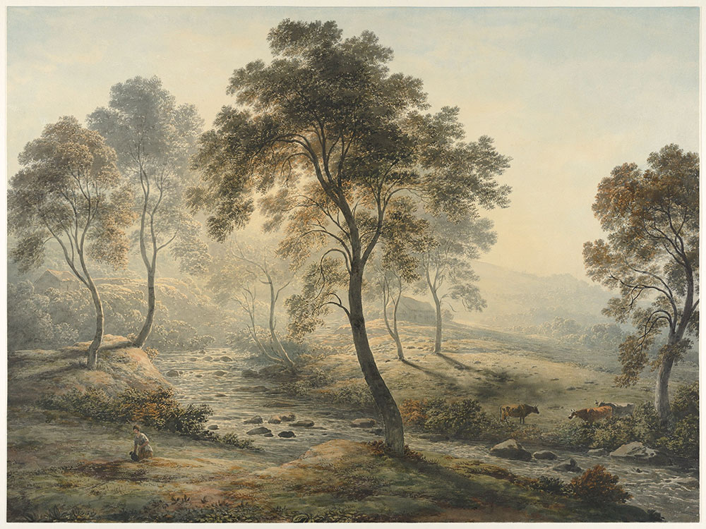 Custom Wall Murals, Trees by the River, 10212, Vavex