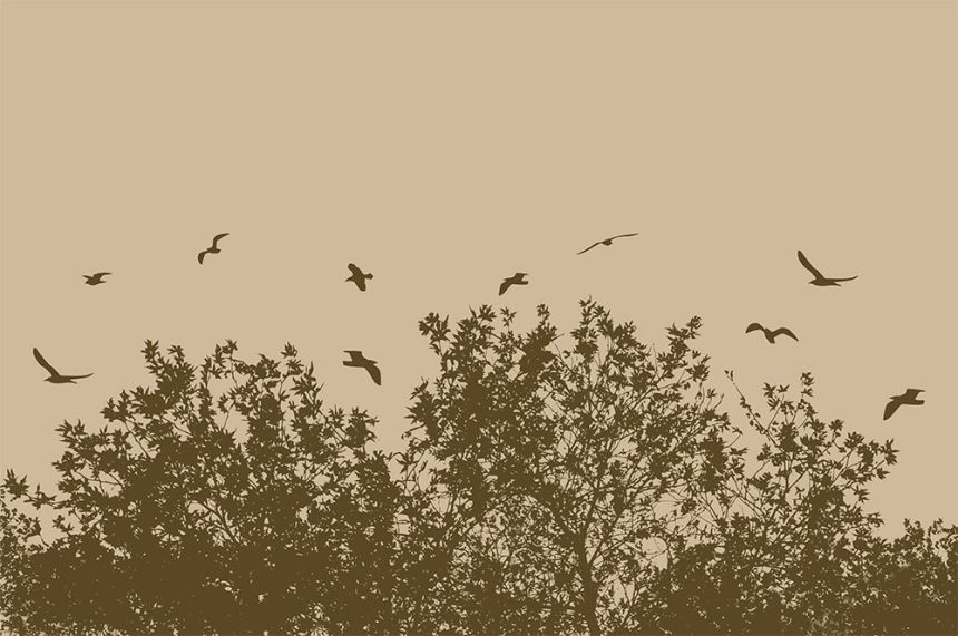 Custom Wall Murals, Birds Above the Forest, 10224, Vavex