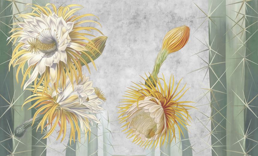 Custom wall murals, Blooming cacti, 10230, Vavex