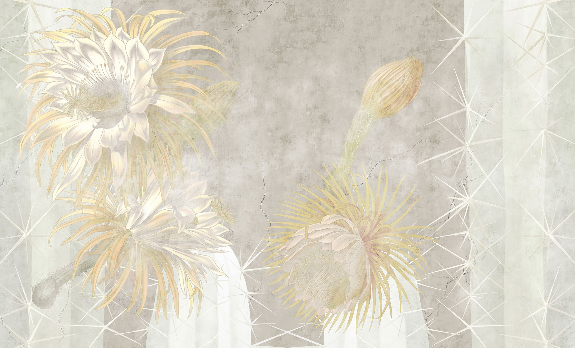 Custom wall murals, Blooming cacti, 10232, Vavex