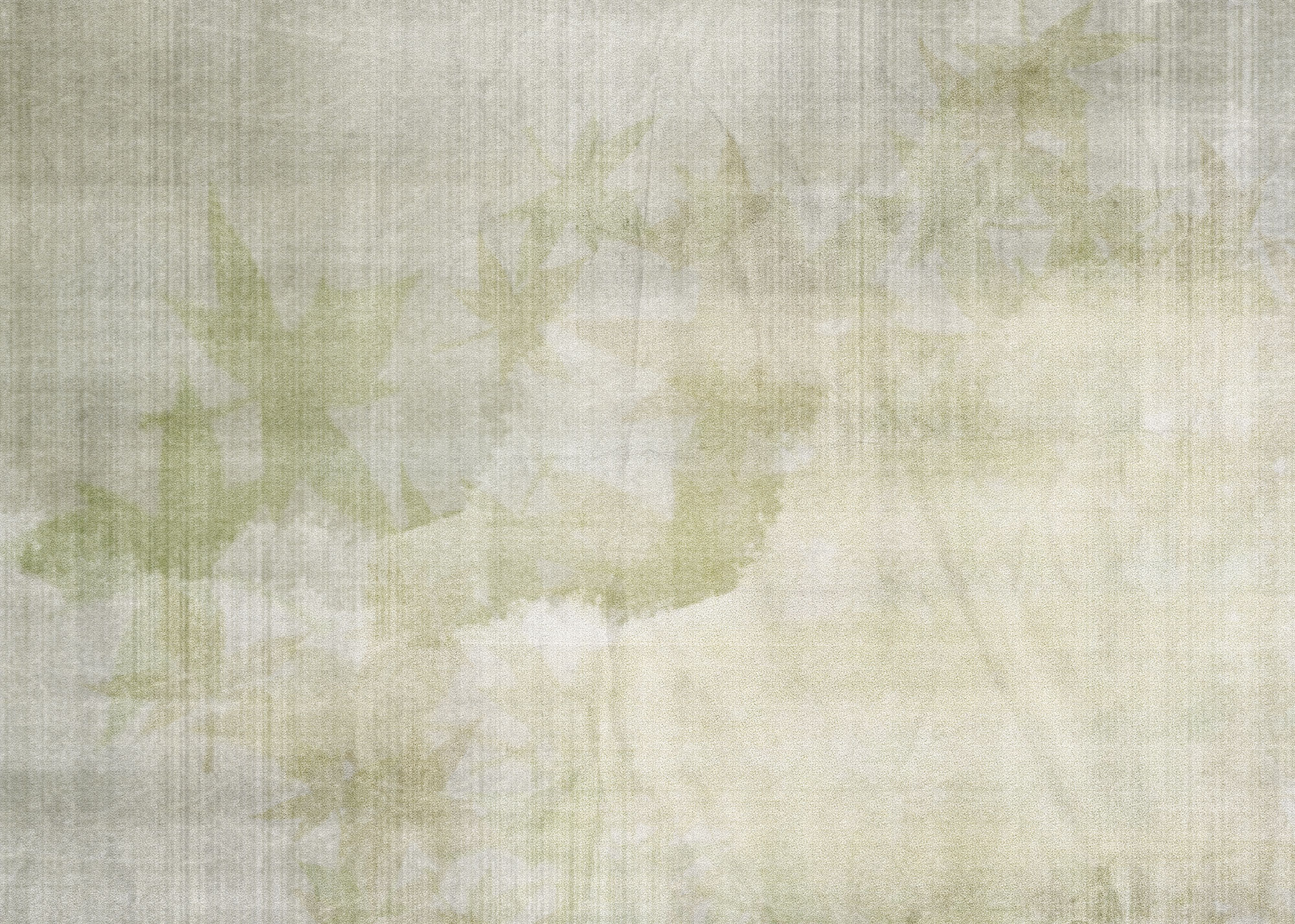 Custom wall murals, Canvas with delicate leaves, 10255, Vavex