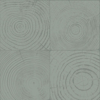Green non-woven wallpaper, imitation wood with annual rings 347547, Matières - Wood, Origin